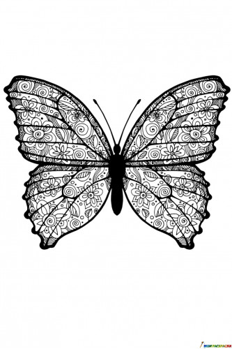 Раскраска Бабочка с цветочным рисунком