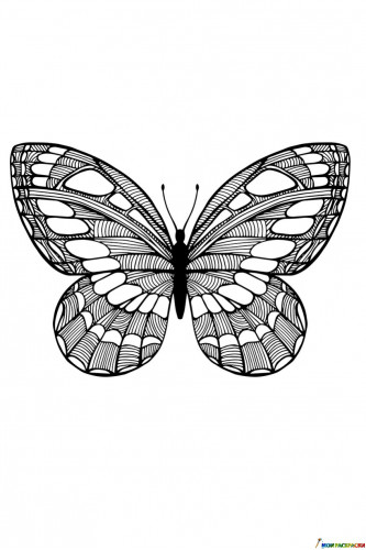 Раскраска Бабочка с рисунками капель