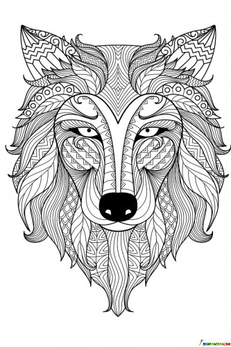 Раскраска Голова волка