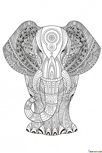 Раскраска Индийский слон