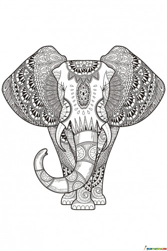 Раскраска Красивый слон со сложными узорами