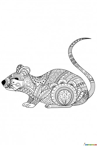 Раскраска Крыса со сложными узорами