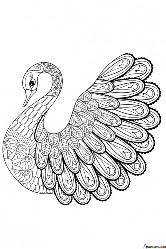 Раскраска Лебедь для взрослых
