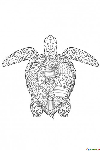 Раскраска Морская черепаха для взрослых
