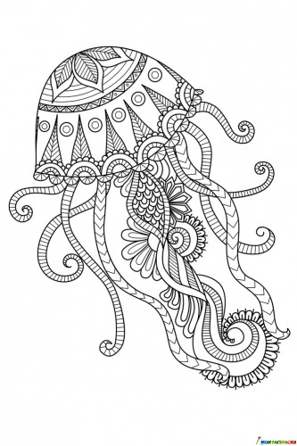 Раскраска Морская медуза