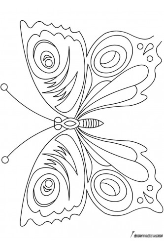 Раскраска Бабочка с изысканным узором крыльев