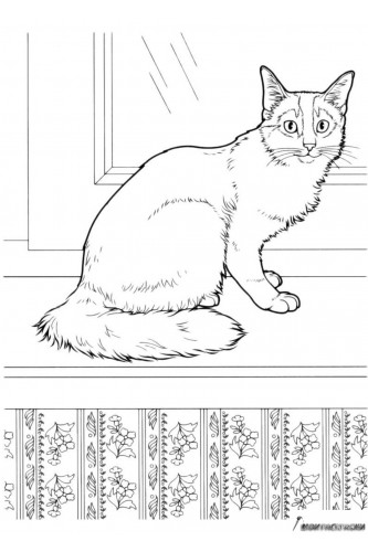 Раскраска Домашняя кошка на подоконнике