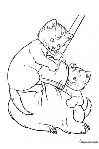 Раскраска Два котенка играют с метлой