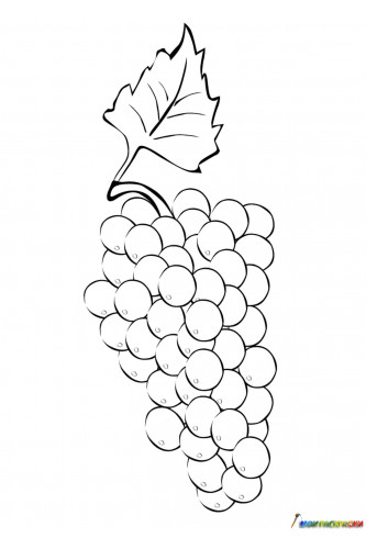 Раскраска Гроздь винограда