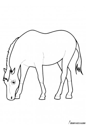 Раскраска Грустная лошадь