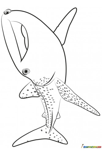Раскраска Китовая акула Судьба