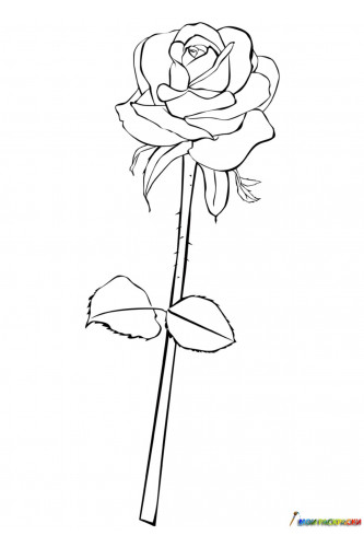 Раскраска Королевская роза