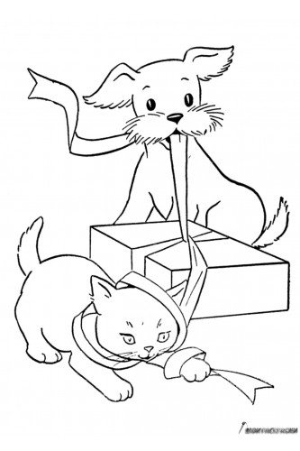 Кошка и собака открывают подарок
