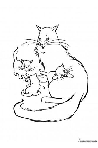 Кошка и три маленьких котенка