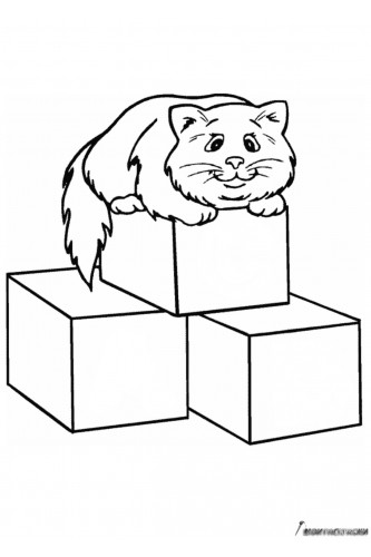 Кошка на кубиках