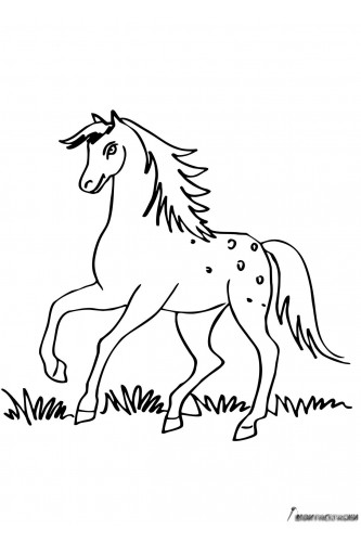 Раскраска Лошадь скачет по траве