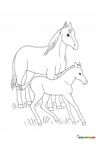 Раскраска Молодые лошади