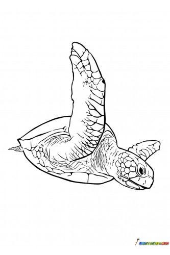 Раскраска Морская черепаха