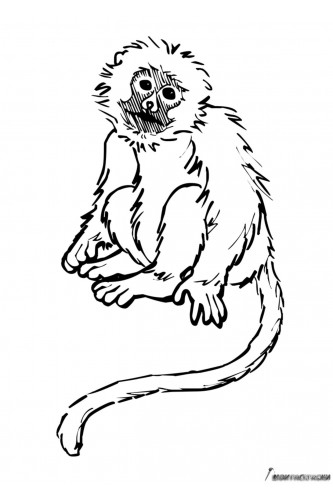 Раскраска Печальная обезьяна