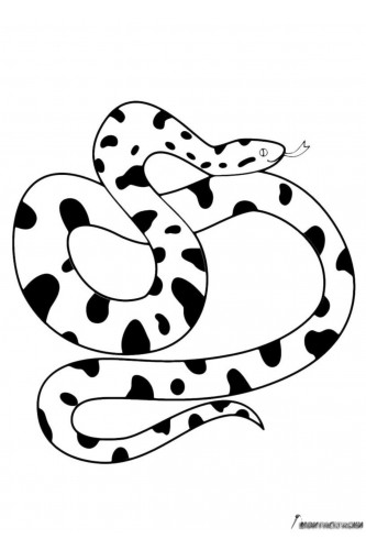 Раскраска Пятнистая змея