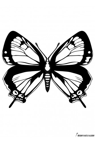 Раскраска Шикарная бабочка
