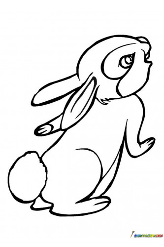Раскраска Симпатичный крольчонок