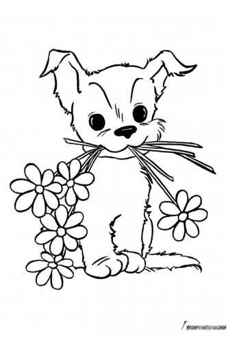 Раскраска Собака и цветы