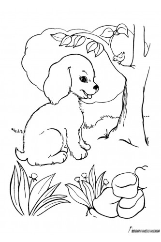 Раскраска Собака в лесу возле дерева