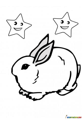 Заяц сидит под звездами