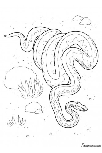 Раскраска Змея ползёт по пустыне
