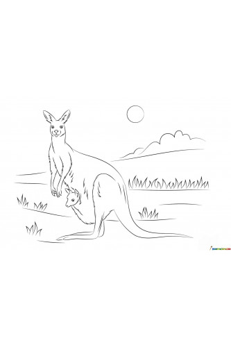 Раскраска Кенгуру с кенгурёнком