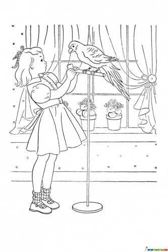 Раскраска Девочка учит попугая разговаривать