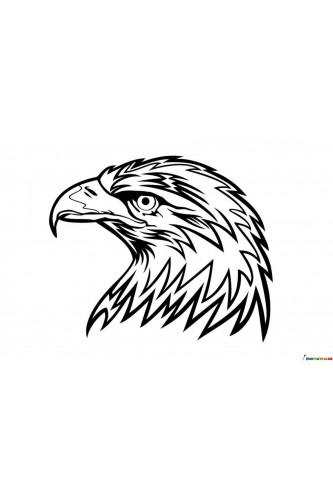 Раскраска Голова орла