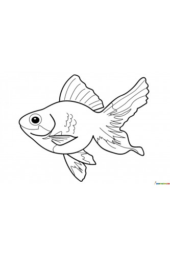Раскраска Рыбка счастья