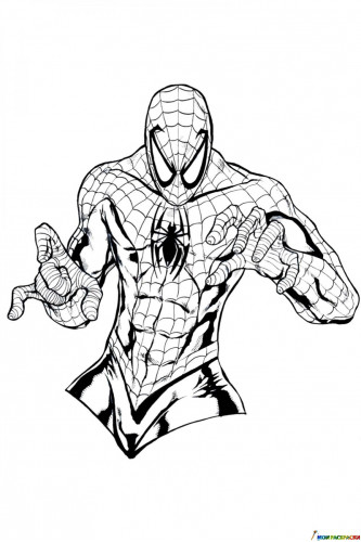 Раскраска Торс Человека паука