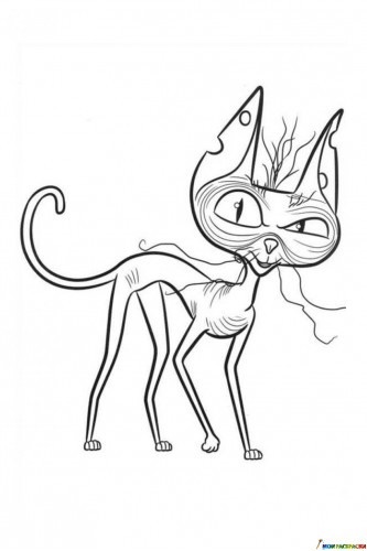Раскраска кот-сфинкс Озоун