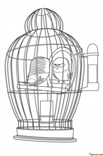 Птичка в клетке